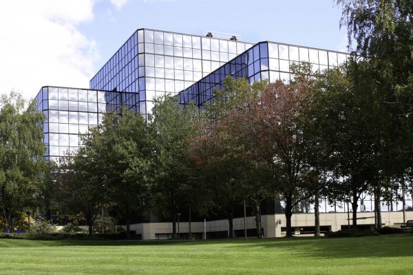 Commercial Tree Trimming in Olathe